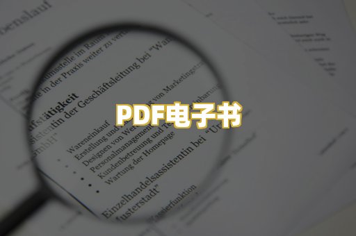 PDF电子书